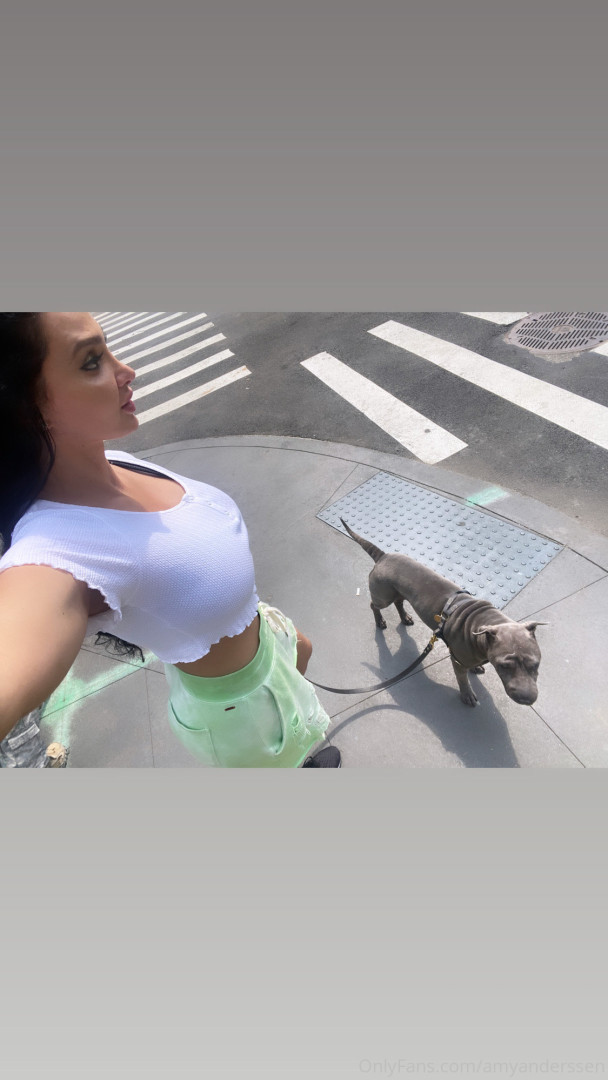 Photo by amyanderssen published on November 21,2023 20:54:00 - BestThots
