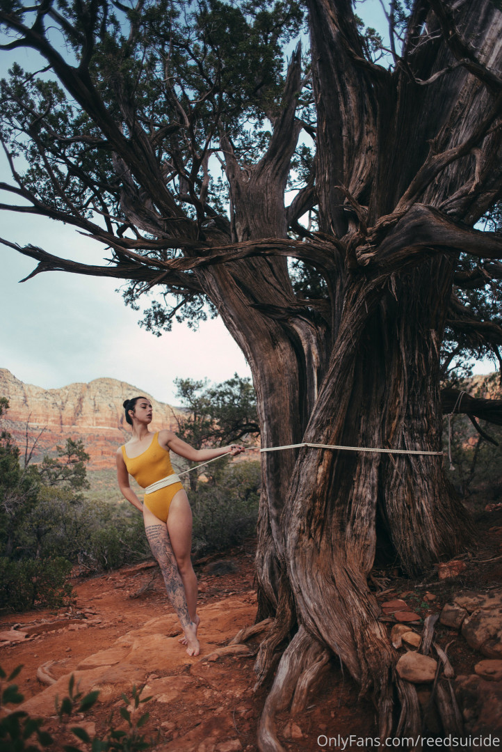 Photo by reedsuicide published on June 14,2023 09:46:45 - BestThots