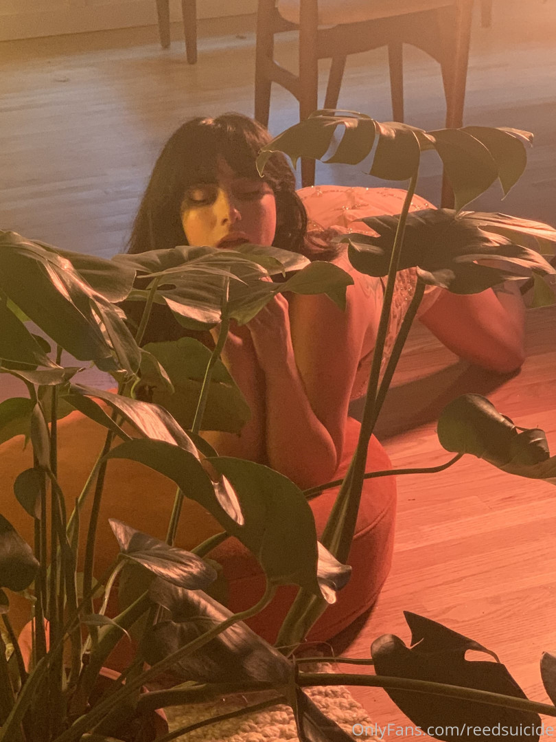 Photo by reedsuicide published on June 14,2023 09:51:57 - BestThots