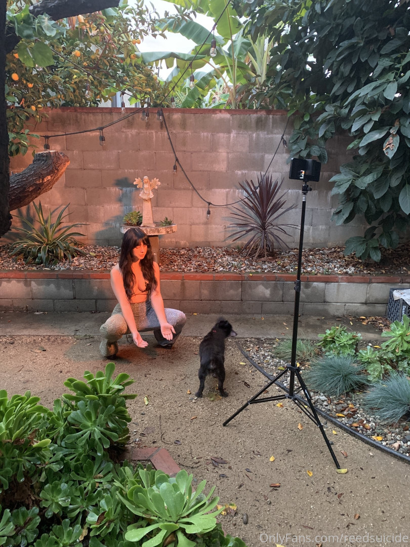 Photo by reedsuicide published on June 14,2023 09:54:54 - BestThots