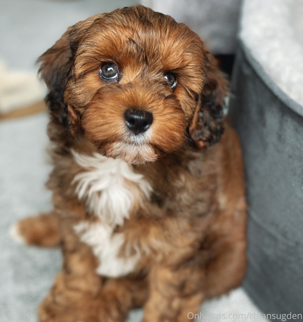 Photo by rhiansugden published on October 11,2023 15:17:09 - BestThots