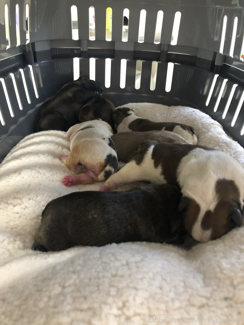 Photo by jennahoskins published on September 1,2023 08:50:34 - BestThots