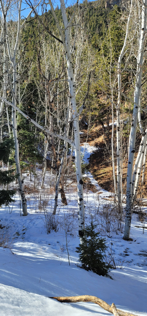 Photo by amarie301 published on July 21,2023 21:10:13 - BestThots