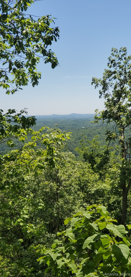 Photo by amarie301 published on July 21,2023 21:11:06 - BestThots