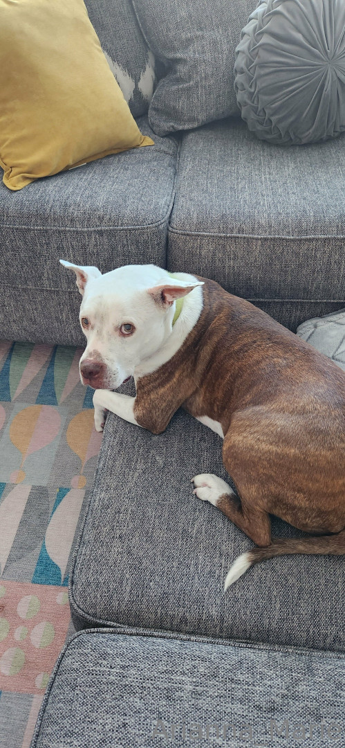 Photo by amarie301 published on July 21,2023 21:11:47 - BestThots