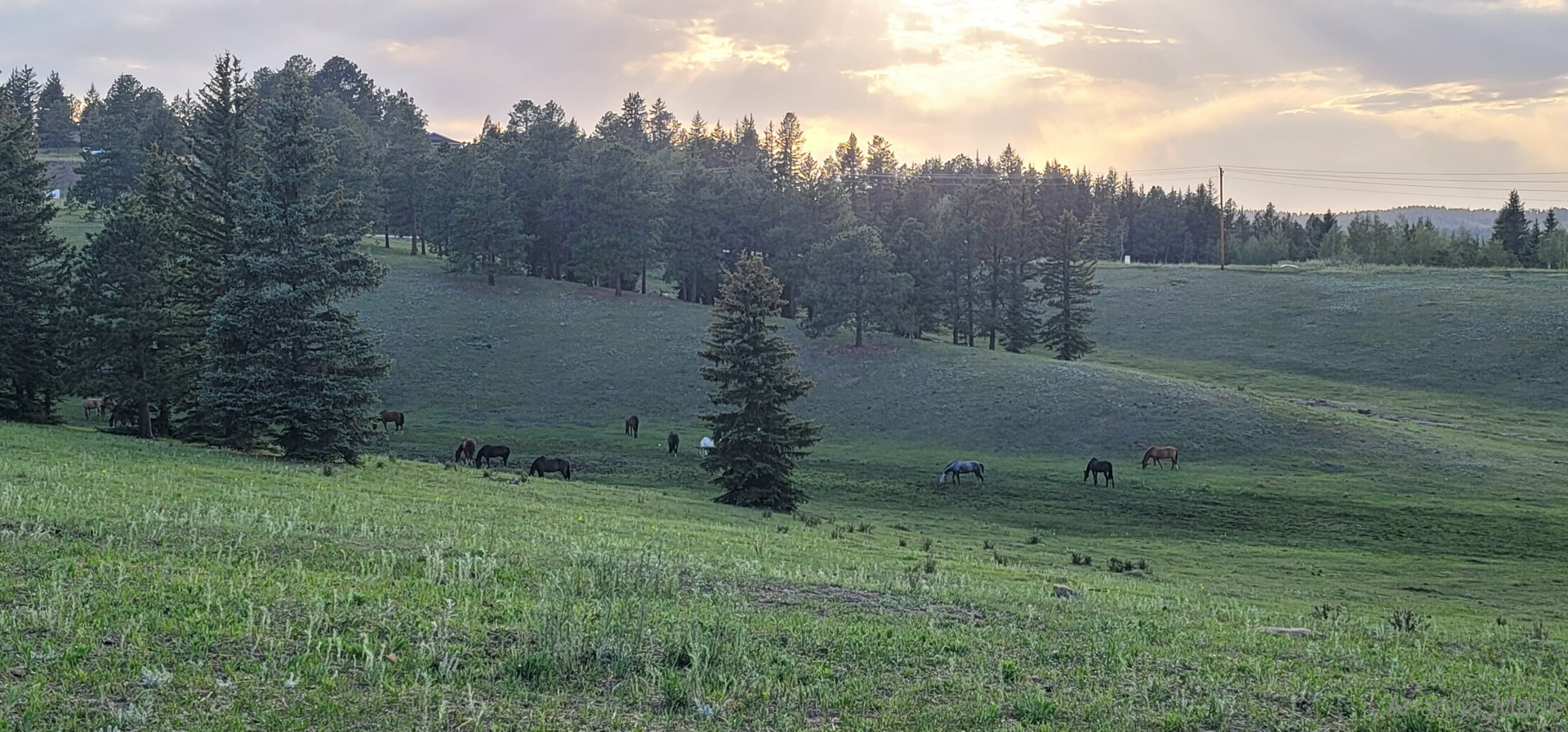 Photo by amarie301 published on July 21,2023 21:14:16 - BestThots