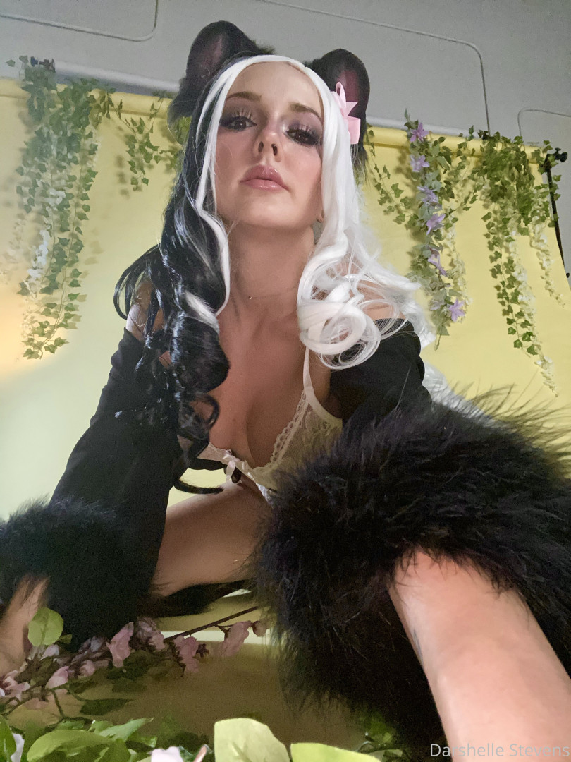 Photo by darshellestevens published on October 17,2023 07:09:18 - BestThots