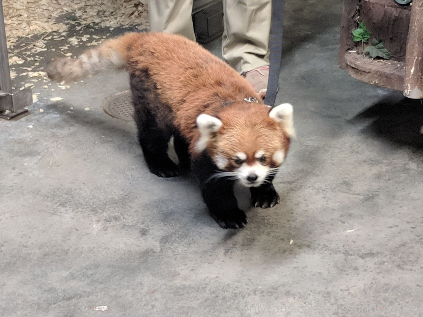 Photo by missprincesskay published on August 2,2023 06:39:32 - BestThots