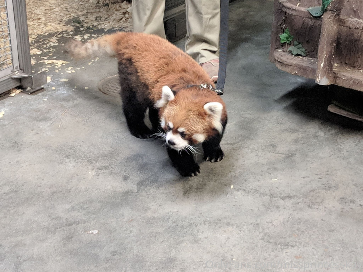 Photo by missprincesskay published on August 2,2023 06:46:38 - BestThots