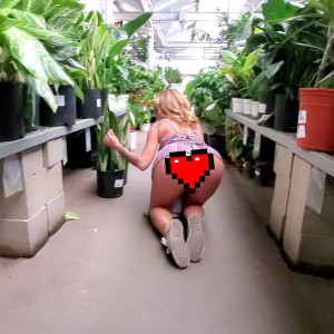kissasins #7293258