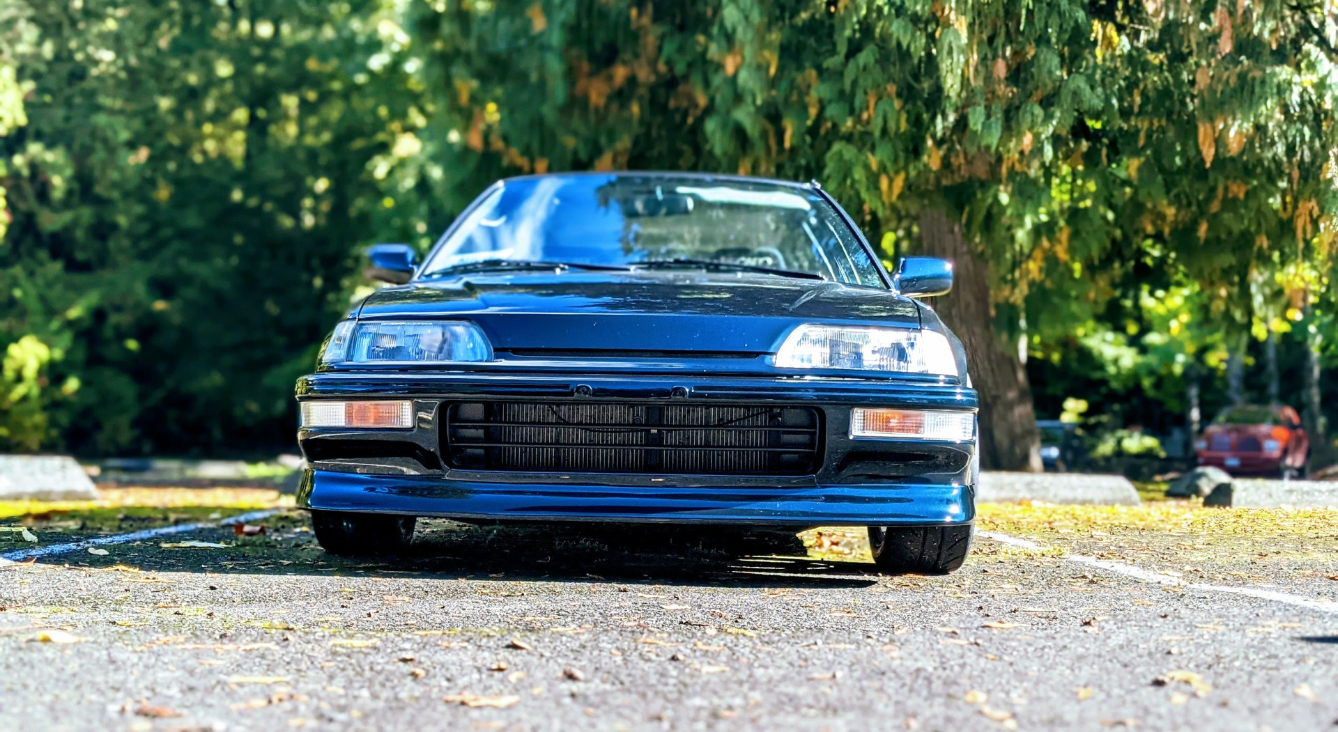 Photo by lexiwiththehonda published on October 16,2023 03:49:32 - BestThots