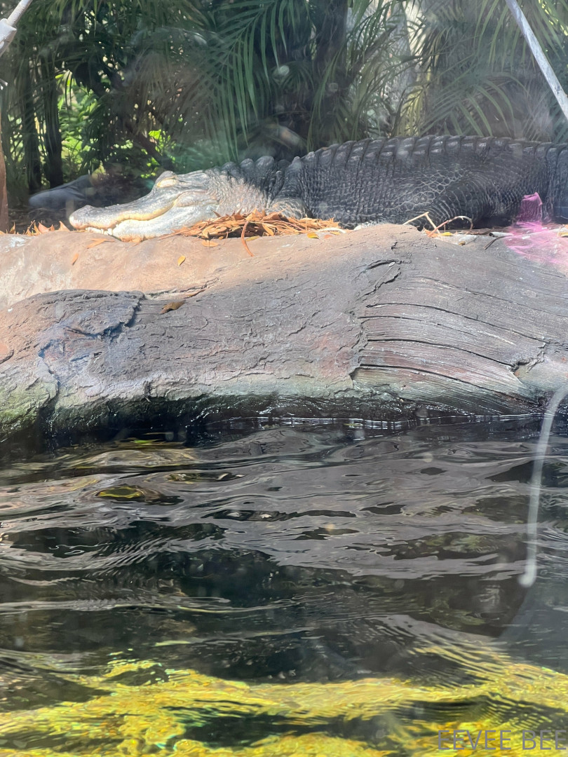 Photo by eevee_bee published on July 31,2023 11:43:25 - BestThots