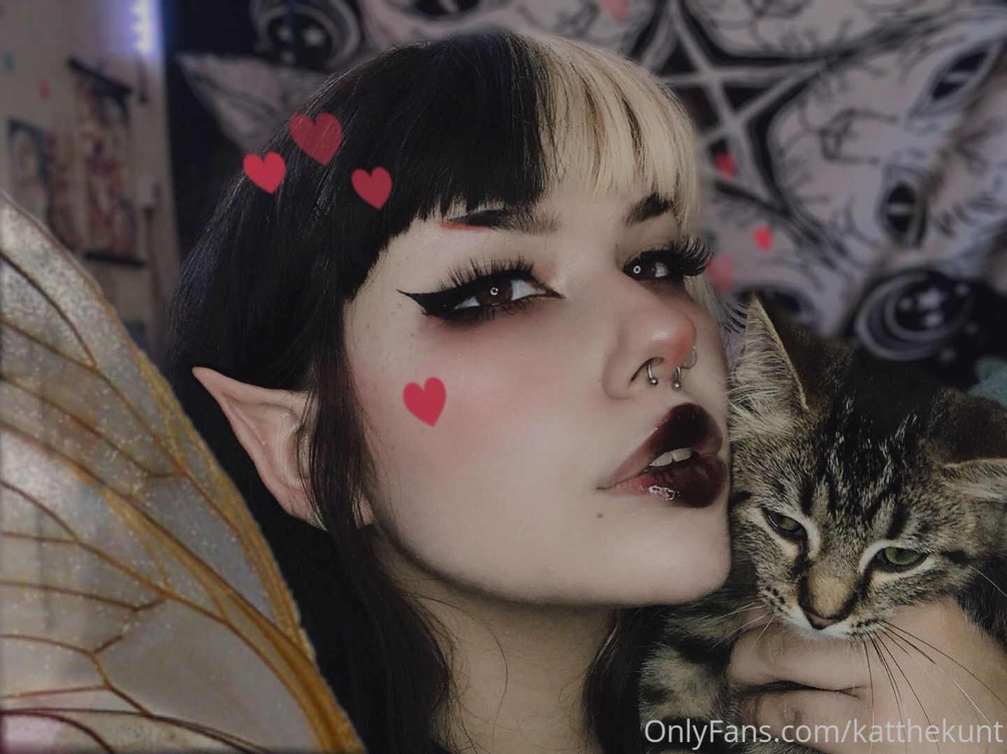 Photo by katthekunt published on June 27,2023 03:36:26 - BestThots