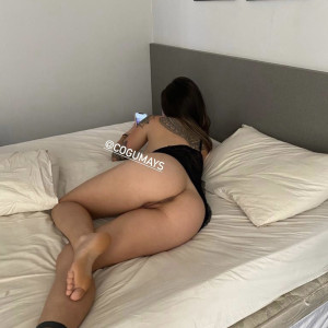 cogumays #6964585