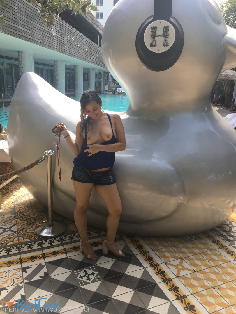 Photo by nancymiami published on December 24,2024 22:10:16 - BestThots