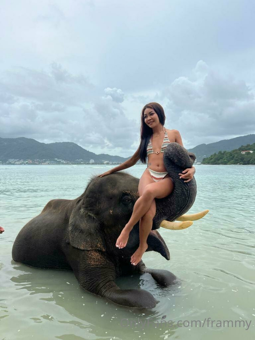 Photo by frammy published on October 24,2023 15:52:24 - BestThots