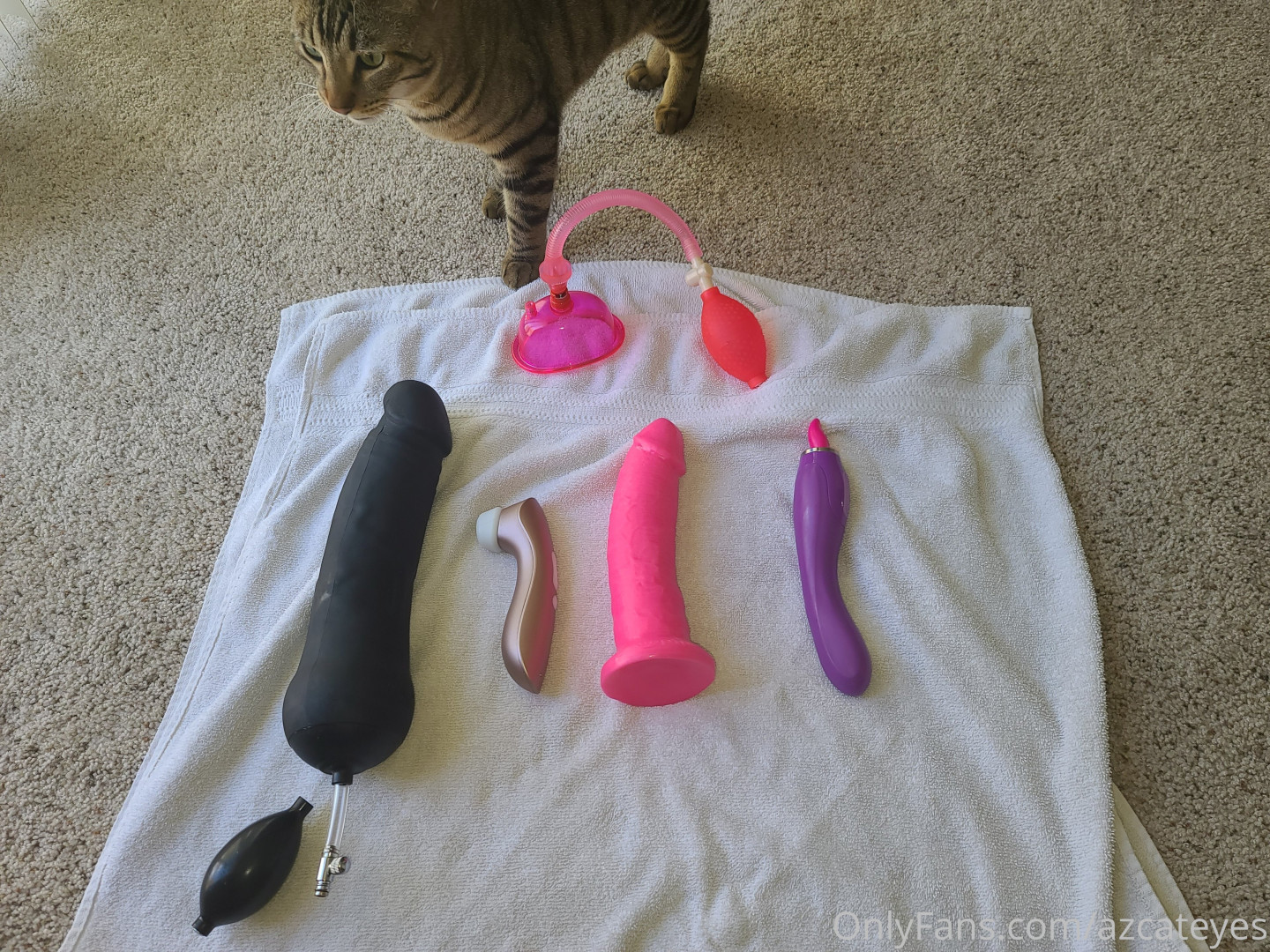 Photo by azcateyes published on November 5,2023 05:19:11 - BestThots