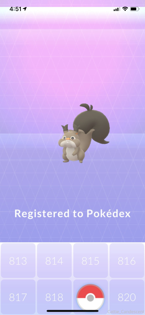 Photo by cattie_candescent published on October 31,2023 18:30:06 - BestThots