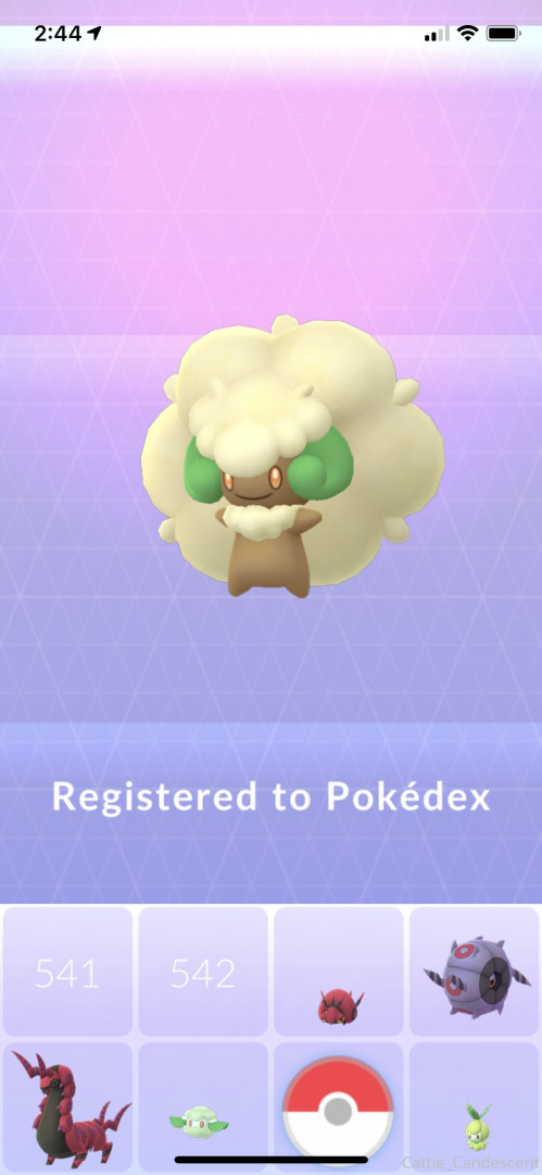 Photo by cattie_candescent published on October 31,2023 18:30:35 - BestThots