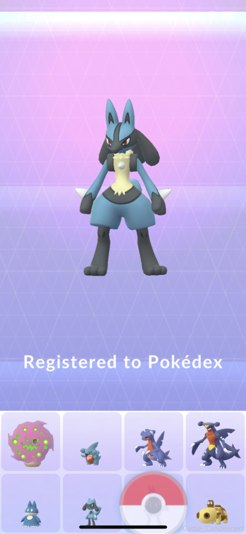 Photo by cattie_candescent published on October 31,2023 18:30:38 - BestThots