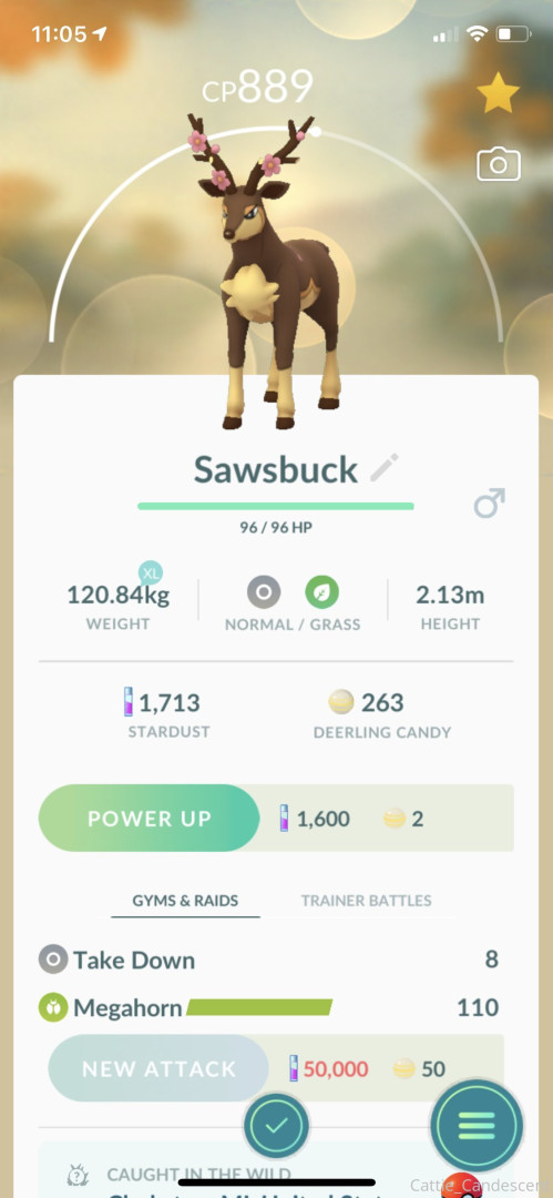 Photo by cattie_candescent published on October 31,2023 18:30:57 - BestThots