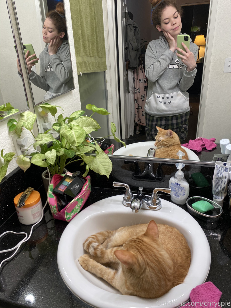 Photo by chryspie published on October 31,2023 15:16:43 - BestThots