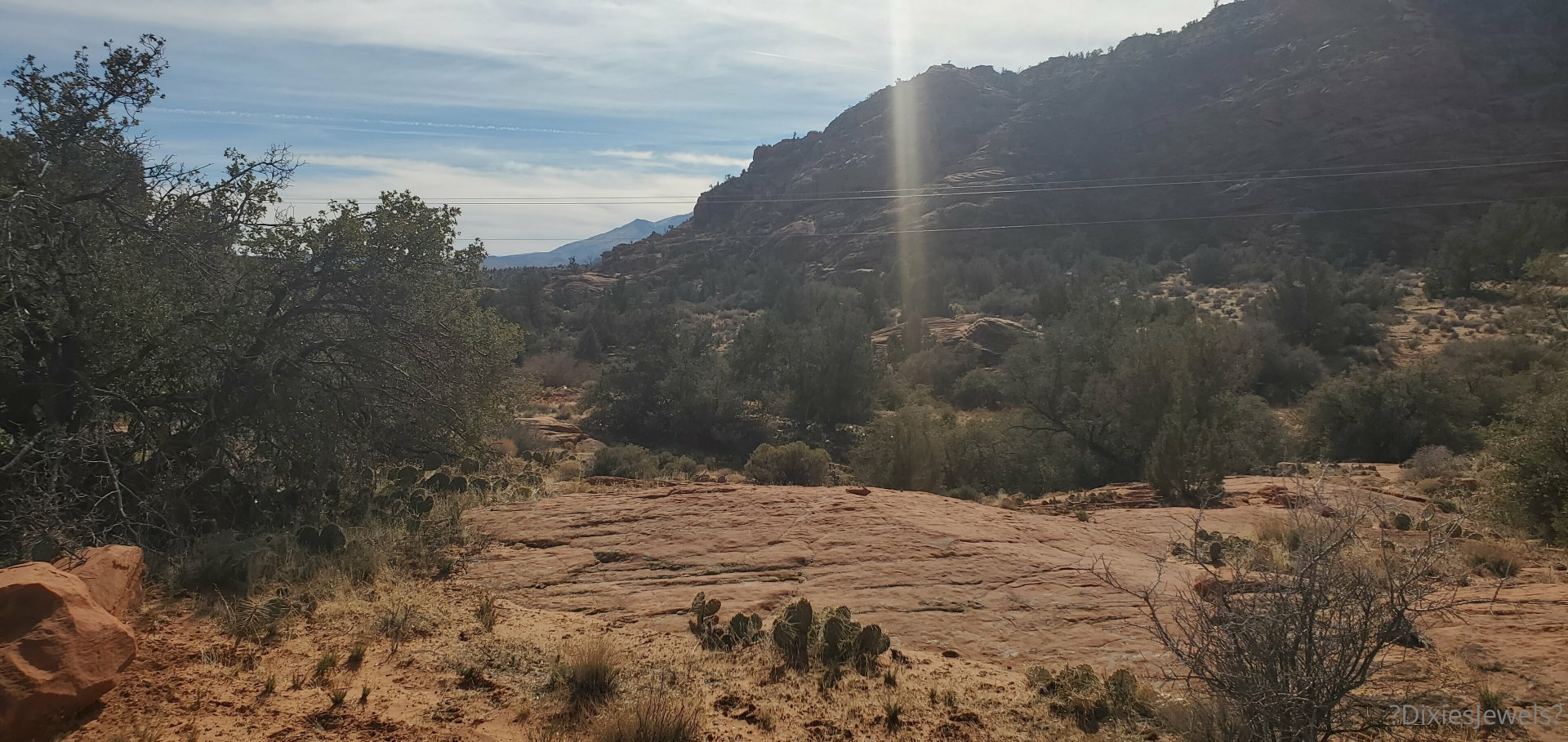 Photo by dixiesjewels published on October 31,2023 04:55:55 - BestThots