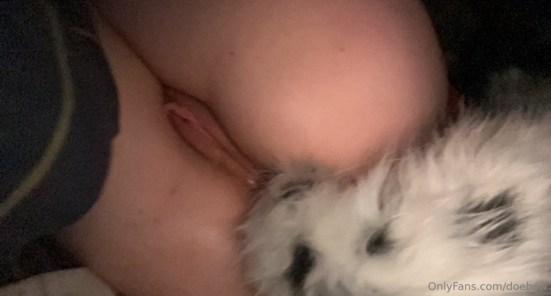 Photo by doebew published on October 31,2023 03:43:42 - BestThots