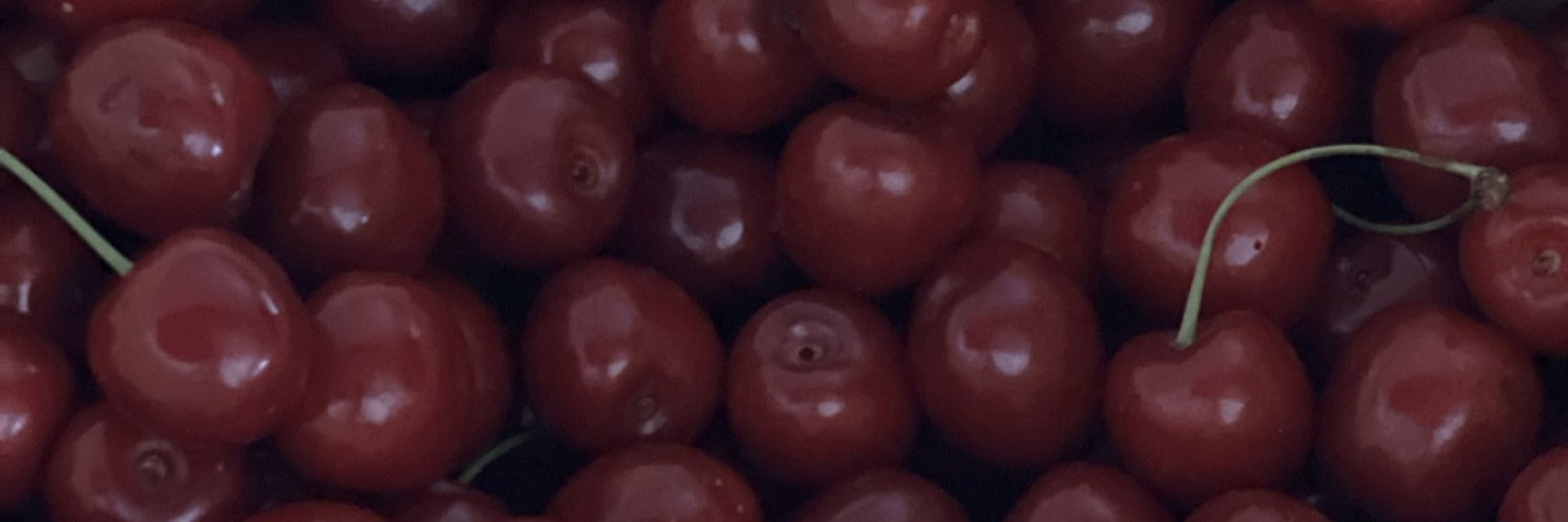 Photo by doebew published on October 31,2023 03:43:43 - BestThots