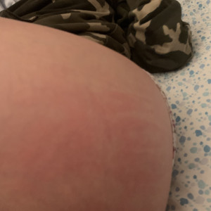 egyptiankittyondastpclub #8225030