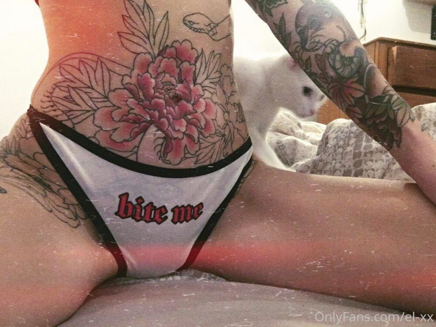 Photo by el-xx published on October 31,2023 03:14:37 - BestThots