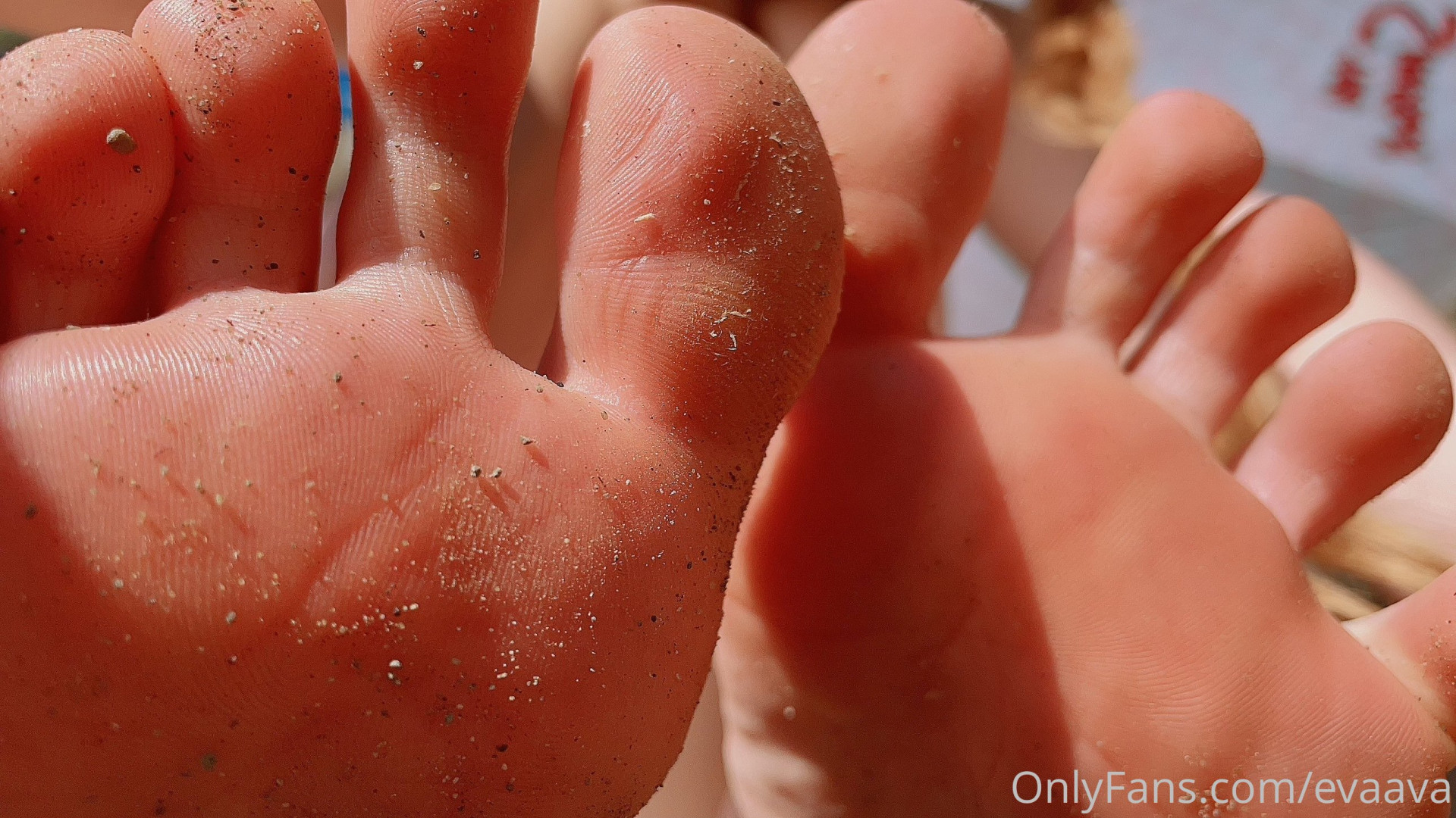 Photo by evaava published on October 31,2023 00:30:57 - BestThots