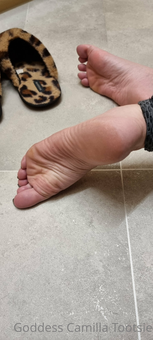 Photo by greatbritishsoles published on October 30,2023 19:01:28 - BestThots