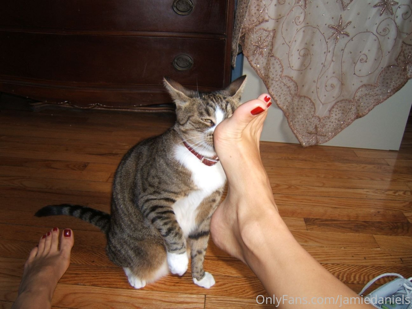 Photo by jamiedaniels published on October 30,2023 16:12:09 - BestThots