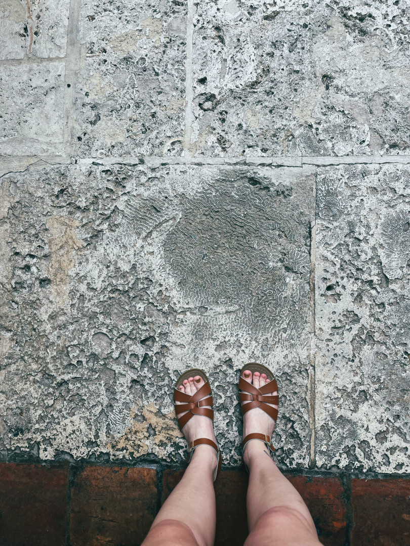 Photo by jaq-qtp published on October 30,2023 14:18:48 - BestThots