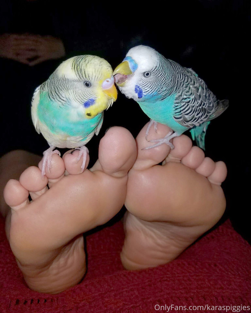 Photo by karaspiggies published on October 30,2023 10:50:14 - BestThots