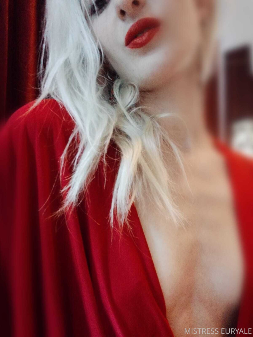 Photo by ms_euryale published on October 29,2023 18:35:23 - BestThots