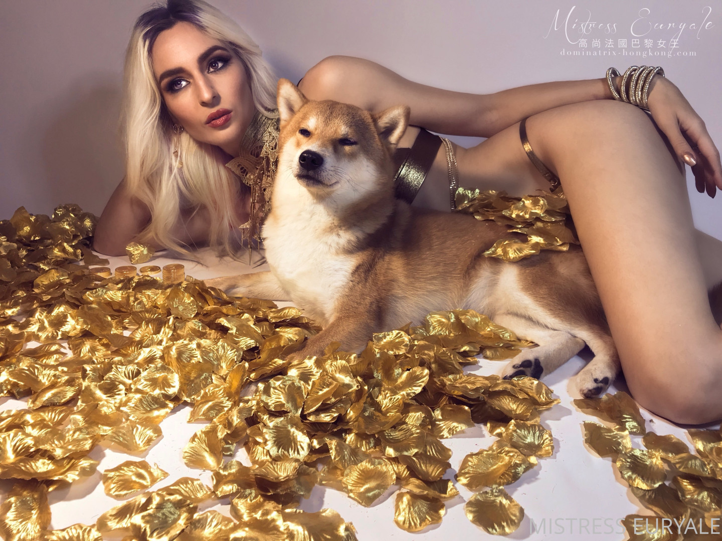 Photo by ms_euryale published on October 29,2023 18:40:34 - BestThots