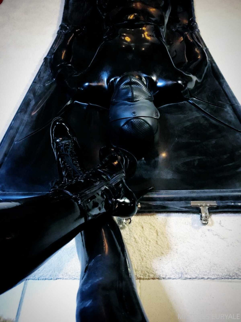 Photo by ms_euryale published on October 29,2023 18:45:27 - BestThots