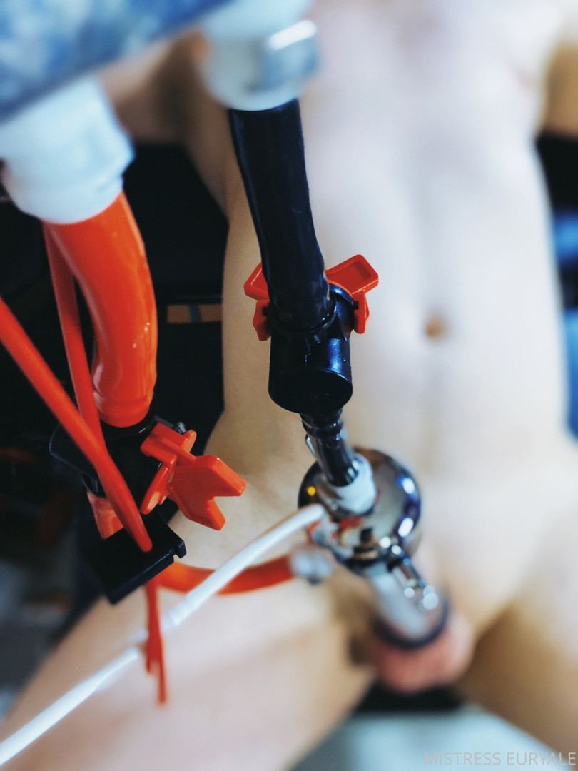 Photo by ms_euryale published on October 29,2023 18:46:11 - BestThots