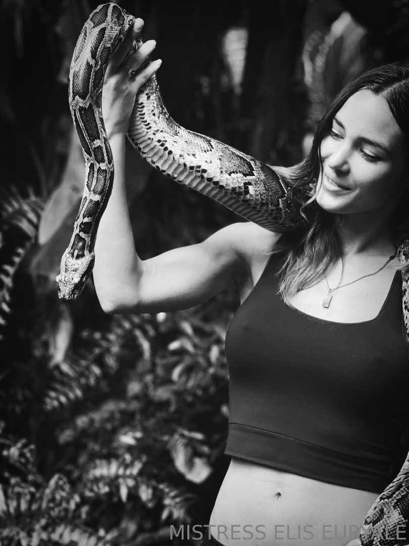 Photo by ms_euryale published on October 29,2023 18:46:49 - BestThots