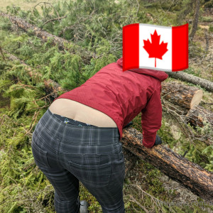 abigailfoxe #8344979