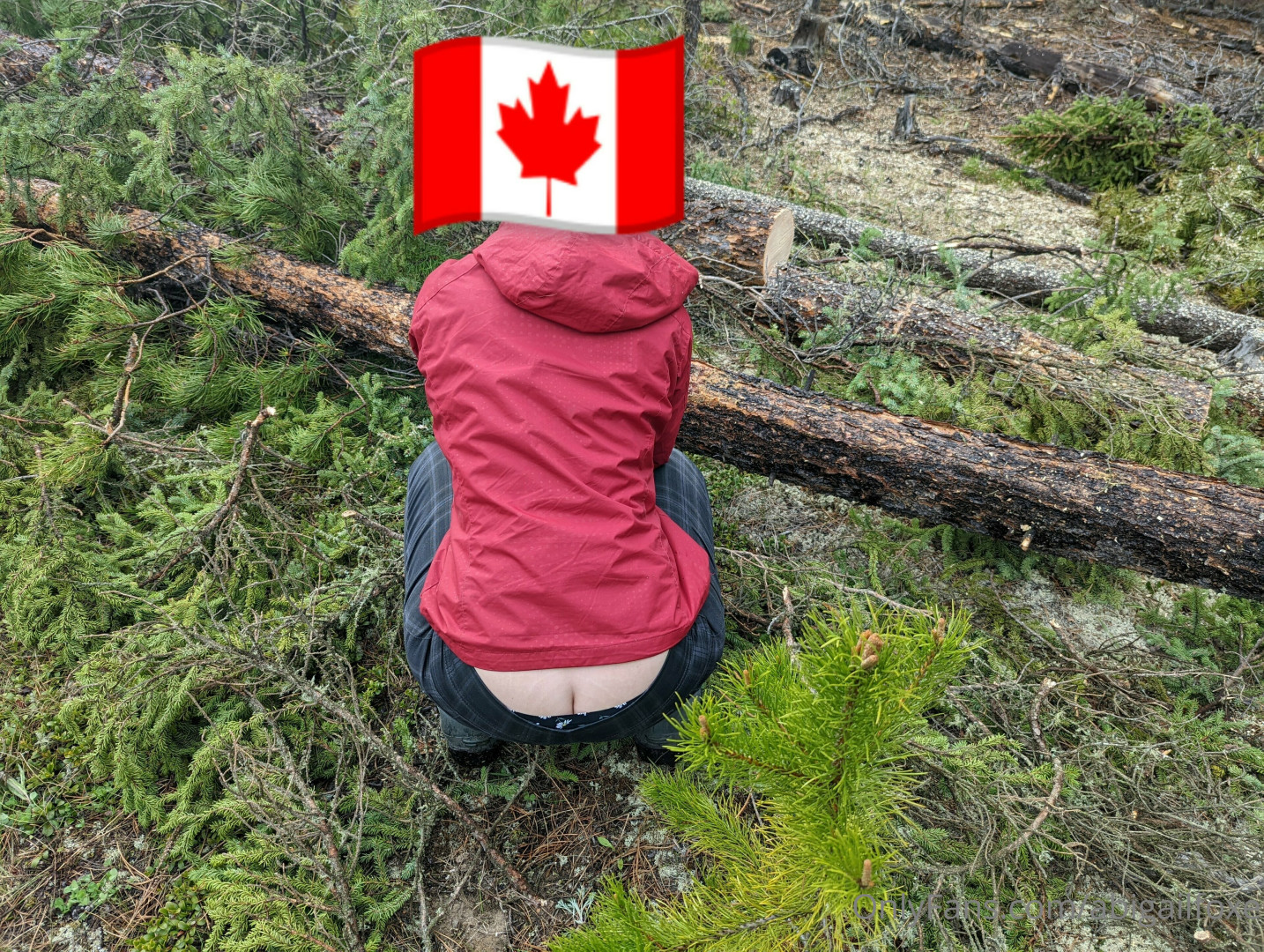 Photo by abigailfoxe published on November 19,2023 19:34:02 - BestThots