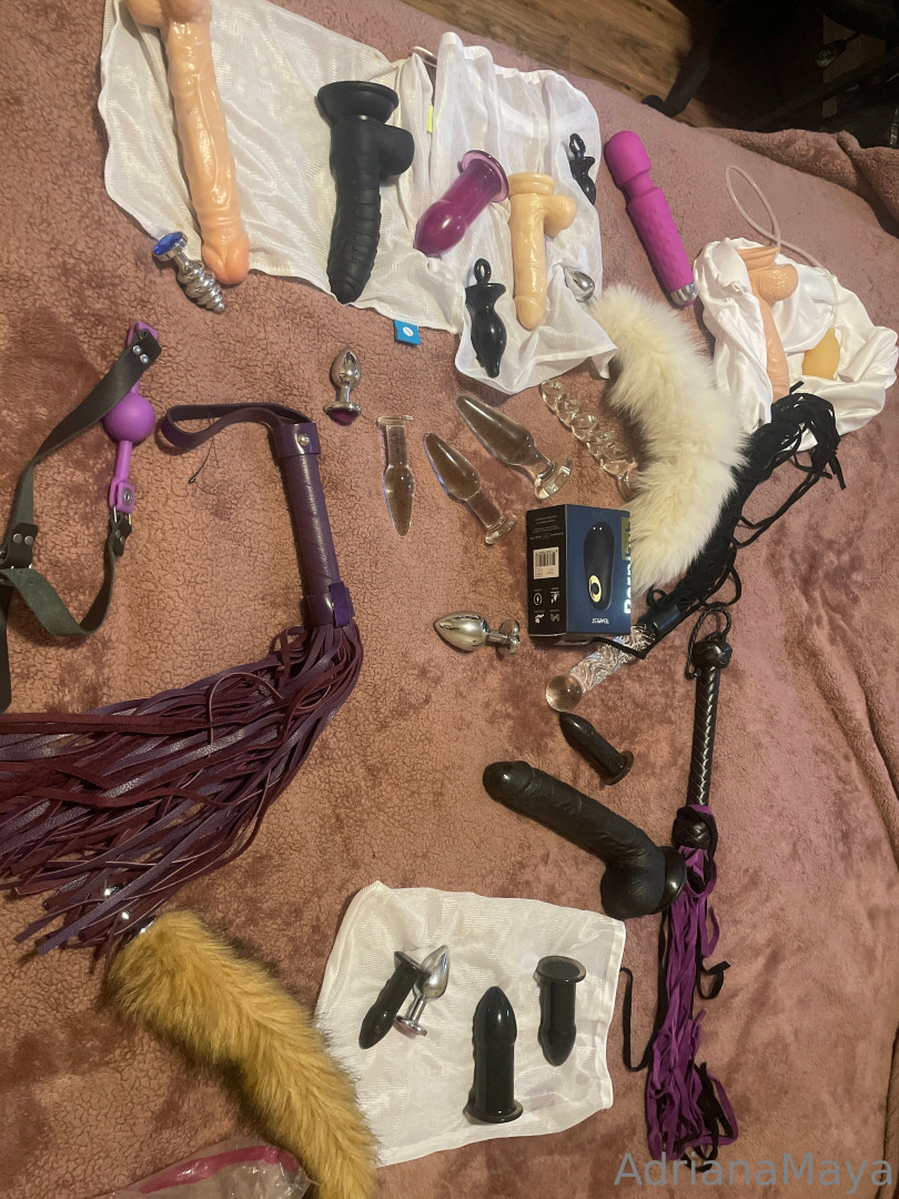 Photo by adrianamaya published on November 19,2023 18:48:39 - BestThots