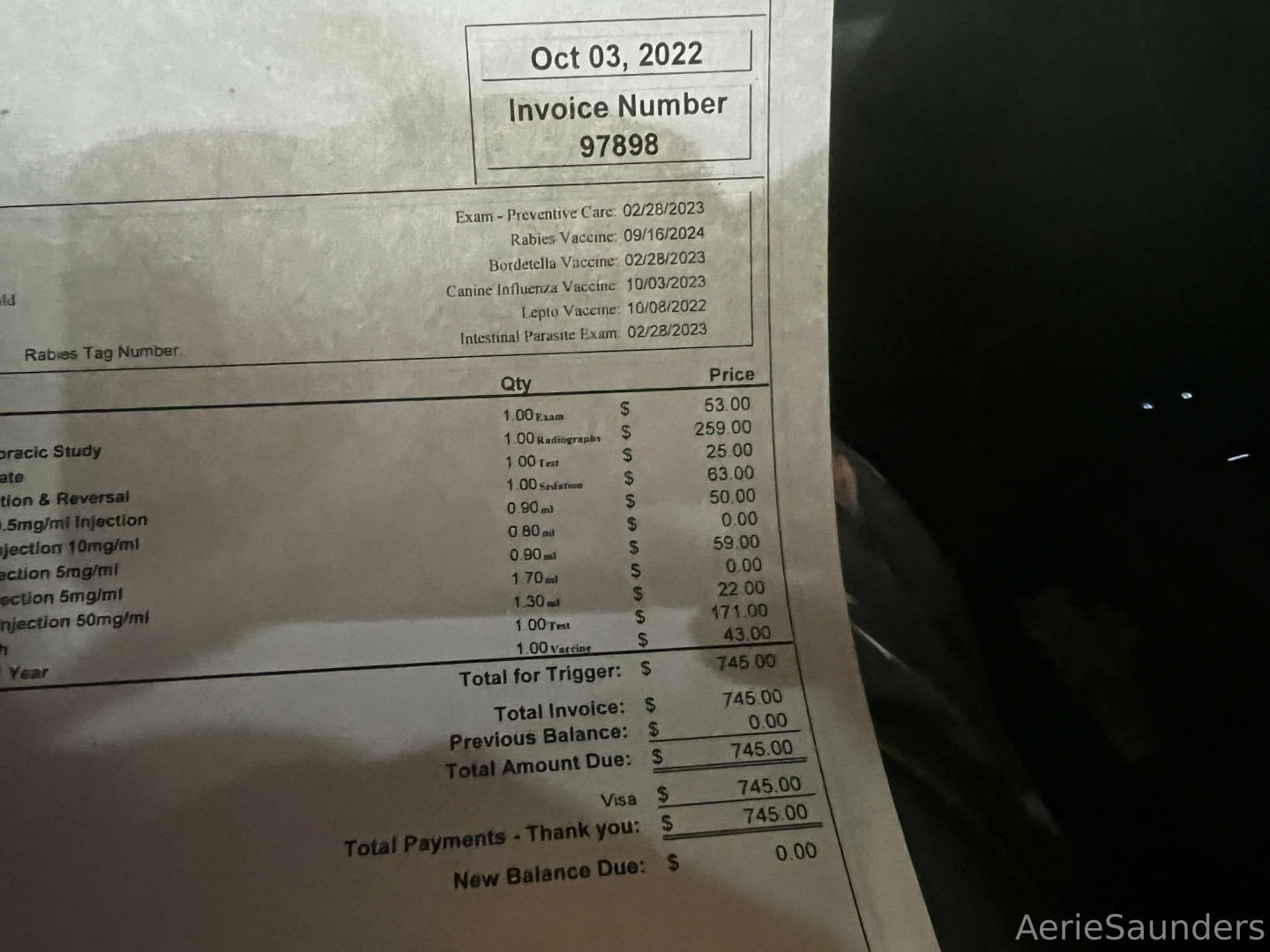 Photo by aeriesaunders published on November 19,2023 18:47:53 - BestThots