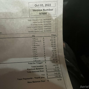 aeriesaunders #8341599