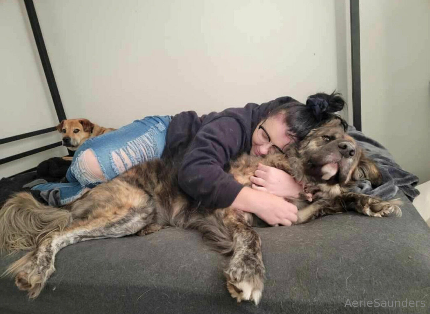 Photo by aeriesaunders published on November 19,2023 18:47:57 - BestThots