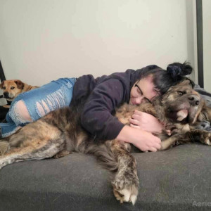 aeriesaunders #8341603