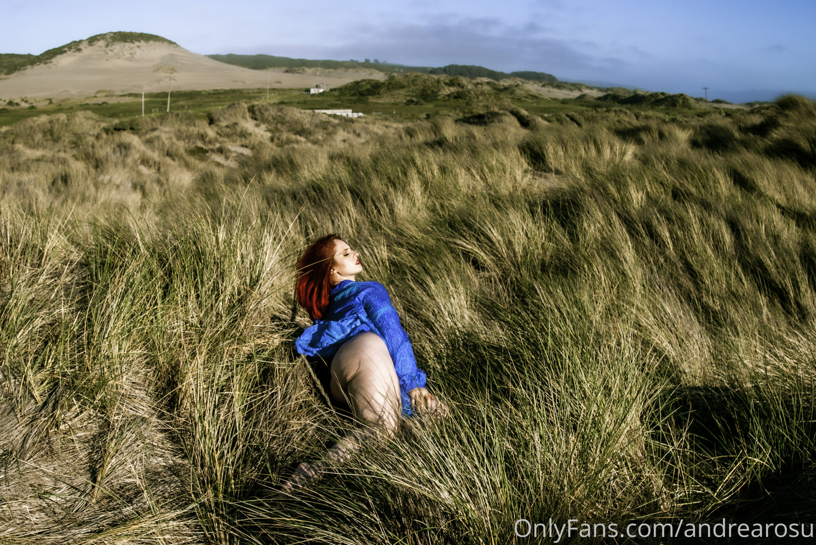 Photo by andrearosu published on November 21,2023 02:28:20 - BestThots