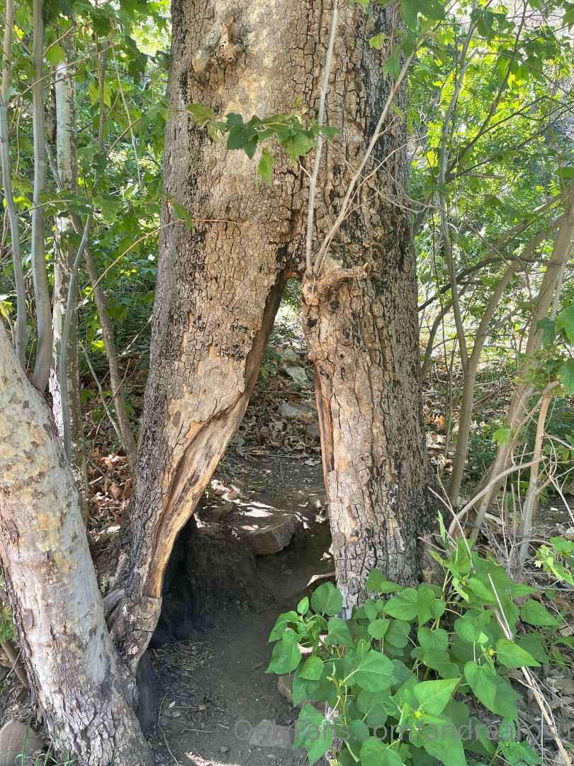 Photo by andrearosu published on November 21,2023 02:29:10 - BestThots